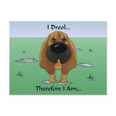 Bloodhound - I Drool...Therefore I Am.. Post Card by NothinButtDogs