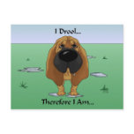 Bloodhound - I Drool...Therefore I Am.. postcards