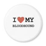 bloodhound-ilove magnets