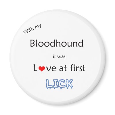 Bloodhound Love at First Lick - Magnet by GreyWolfCreation