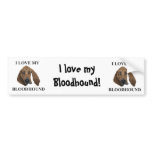 Bloodhound Love