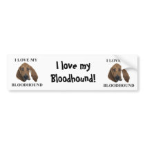 Bloodhound Love