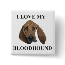 Bloodhound Love
