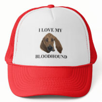 Bloodhound Love
