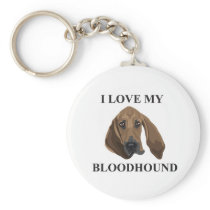Bloodhound Love
