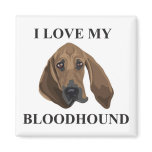 Bloodhound Love magnets
