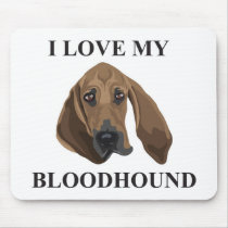 Bloodhound Love