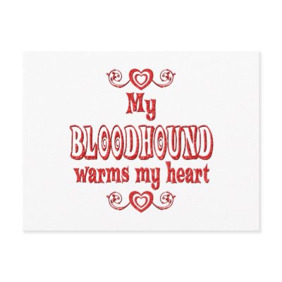 BLOODHOUND Love Post Card by TLArnold4