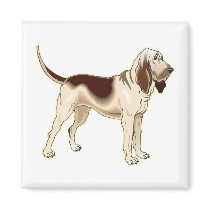 Bloodhound Magnets