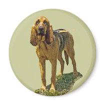 Bloodhound Refrigerator Magnet