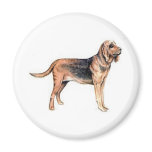 Bloodhound Magnet
