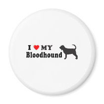 Bloodhound