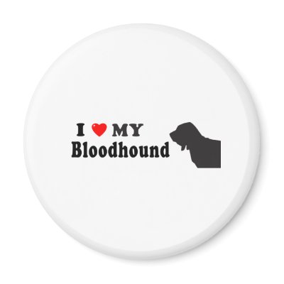 Bloodhound by GenuineDogOwner