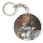 Bloodhound Miniature Schnauzer Key Chain