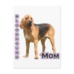 Bloodhound Mom 4 Postcard