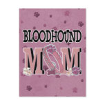 Bloodhound MOM Post Card