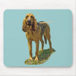 Bloodhound mousepads