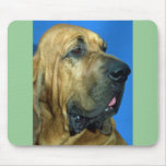Bloodhound Mouse Pad