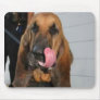 Bloodhound Mousepad