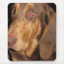 Bloodhound Mousepad