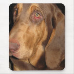 Bloodhound Mousepad