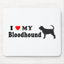 Bloodhound