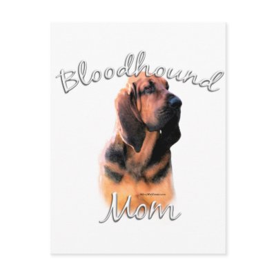 Bloodhound Mum 2 by GreyWolfCreation