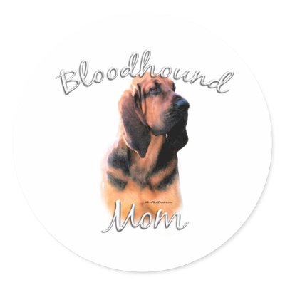 Bloodhound Mum 2 by GreyWolfCreation