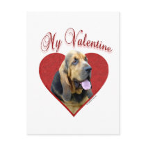 Bloodhound My Valentine Postcards