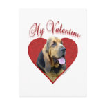 Bloodhound My Valentine postcards