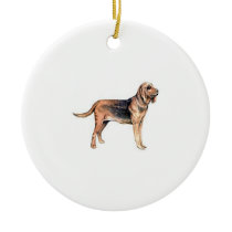 Bloodhound