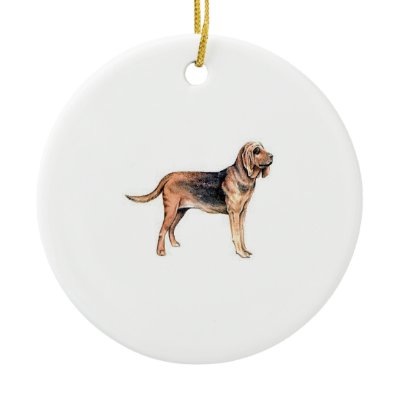 Bloodhound by blackspanielgallery