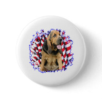 Bloodhound Patriot