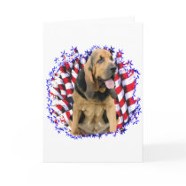 Bloodhound Patriot