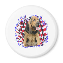 Bloodhound Patriot
