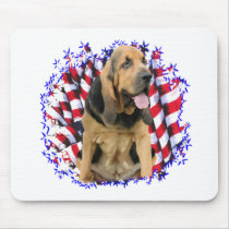 Bloodhound Patriot