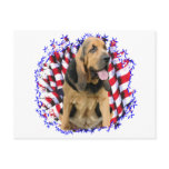 Bloodhound Patriot Postcard