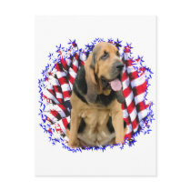 Bloodhound Patriot