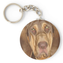 Bloodhound Photograph Keychain
