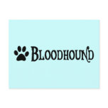 Bloodhound (pirate style w/ pawprint)