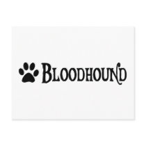 Bloodhound (pirate style w/ pawprint)