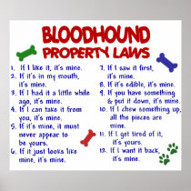 BLOODHOUND PL2