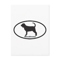 Bloodhound