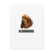Bloodhound Postcards