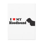 Bloodhound postcards