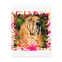 Bloodhound Post Card