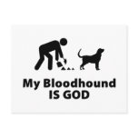 Bloodhound postcards
