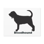 Bloodhound postcards