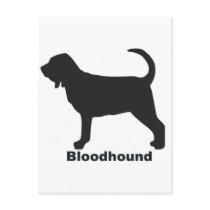 Bloodhound