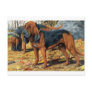 Bloodhound Postcards